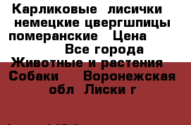 Карликовые “лисички“  немецкие цвергшпицы/померанские › Цена ­ 35 000 - Все города Животные и растения » Собаки   . Воронежская обл.,Лиски г.
